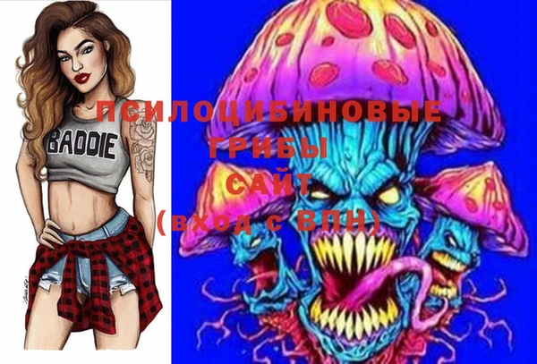 а пвп мука Щёлкино